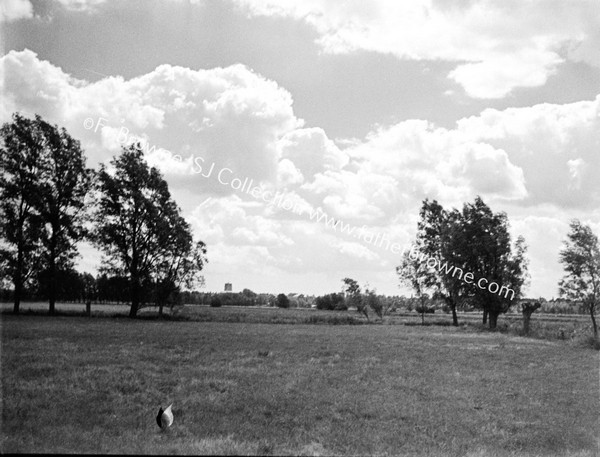 FIELDS CLOUDS TREES